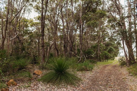Margaret River Holiday Cottages - Dentists Australia 31