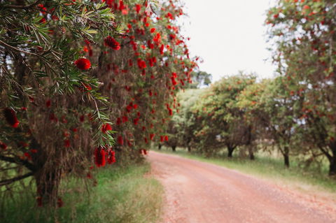 Margaret River Holiday Cottages - Dentists Australia 17