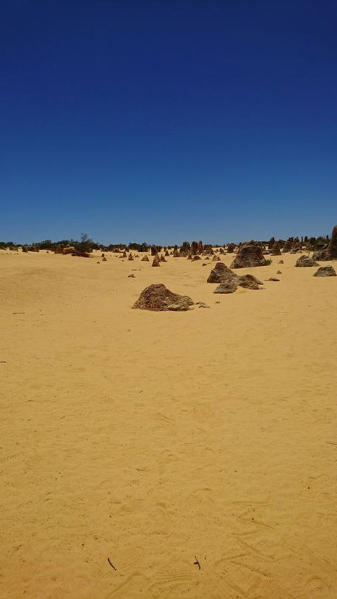 The Bothy Lancelin Family Retreat - Dentist Find 35
