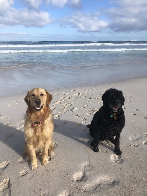 The Bothy Lancelin Family Retreat - Dentist Find 32