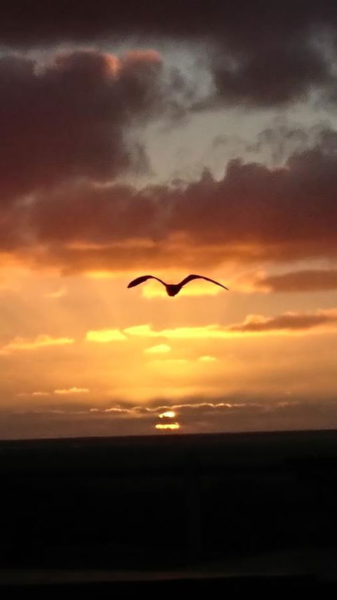 The Bothy Lancelin Family Retreat - Dentist Find 28