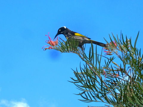 Bridgetown Valley Lodge - Dentists Australia 42
