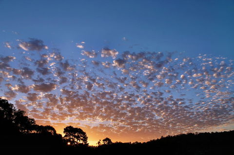 Bridgetown Valley Lodge - Dentists Australia 6