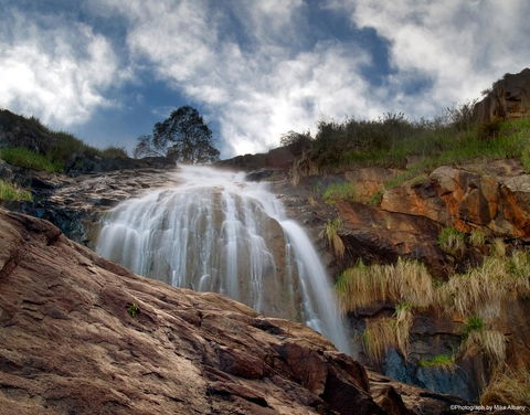 Banksia Tourist Park - Dentist Find 17