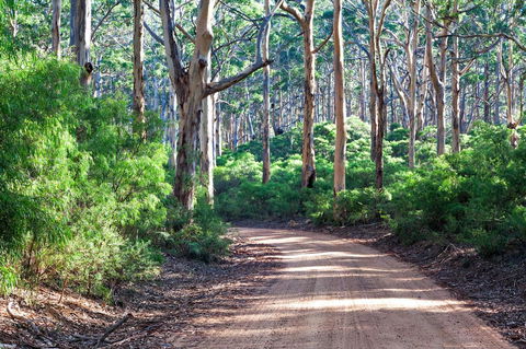 Margaret River Retreat - Dentist Search 20