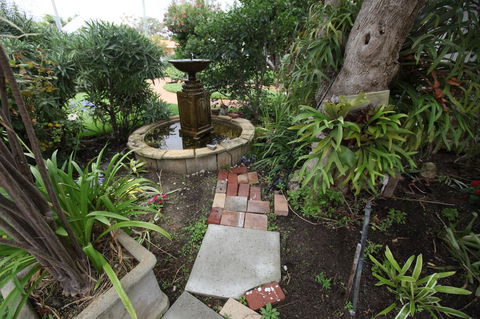 Jacaranda Guest House - Dentist Find 32