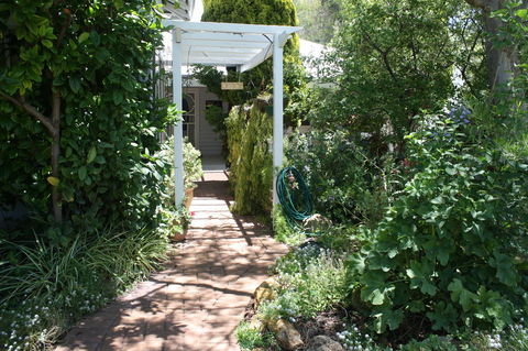 Jacaranda Guest House - Dentist Find 39