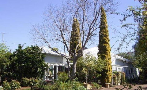 Jacaranda Guest House - Dentist Find 37