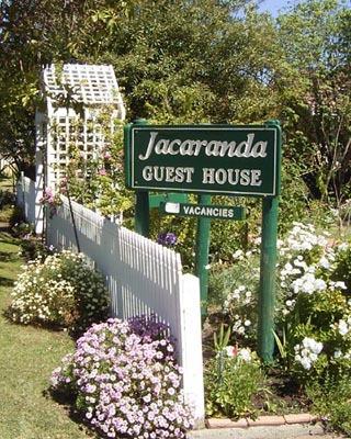 Jacaranda Guest House - Dentist Find 43