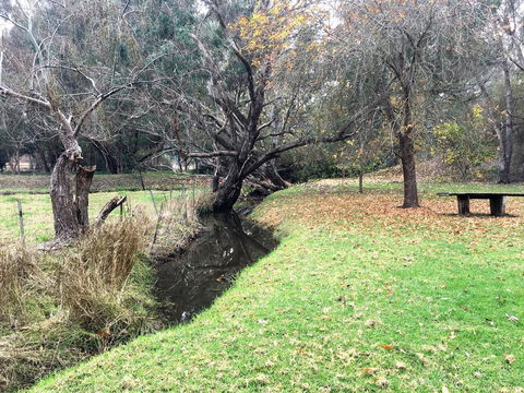 Historic Oakhill House Entire Estate - Dentists Australia 18