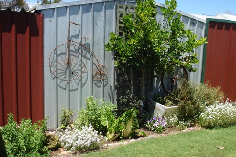 Bluebird Cottage - Dentist Find 26