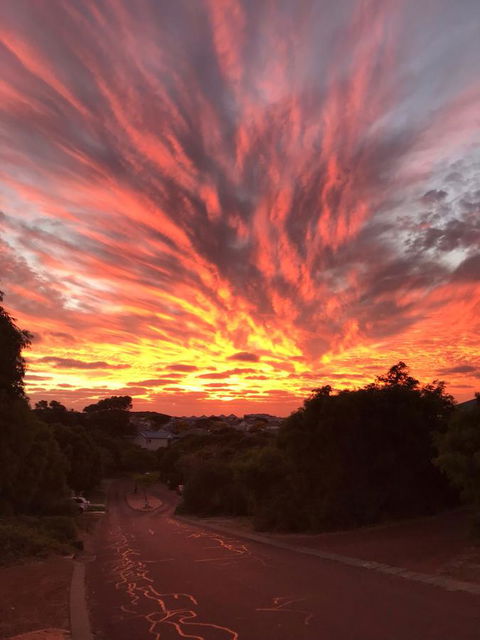 Zephyr Studio - Dentist Search 27