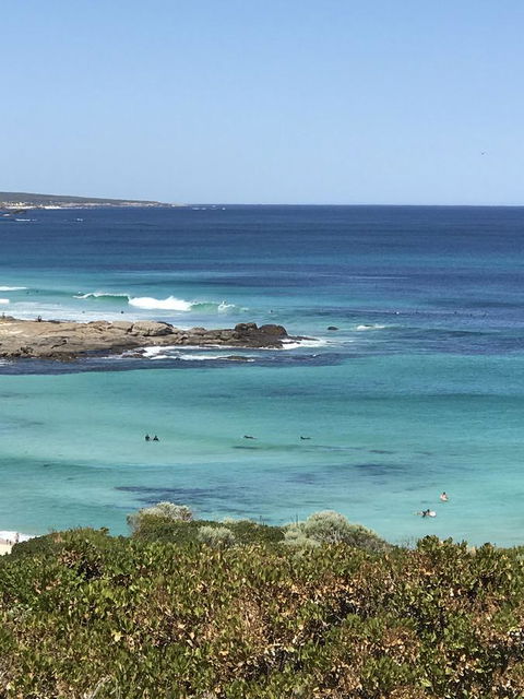 Zephyr Studio - Dentist Search 26