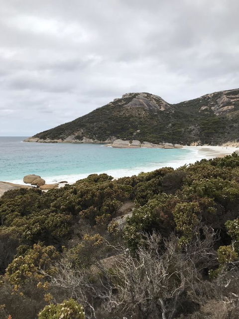 Zephyr Studio - Dentist Search 28