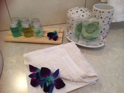 Nivalis Bed And Breakfast - Dentist Find 15