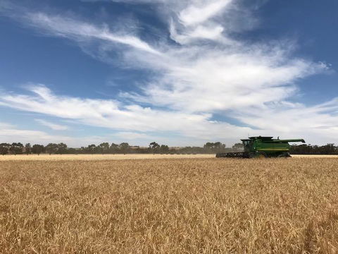 The Mains Guest House - Dentist Find 17