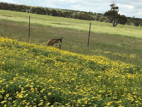 The Mains Guest House - Dentist Find 15