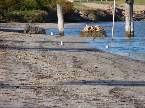 Leander Reef Holiday Park - Dentists Australia 6