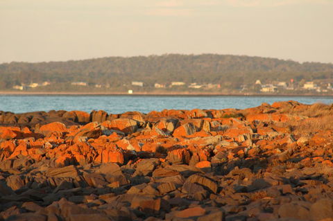 Tamar Solar Home - Dentist Find 16