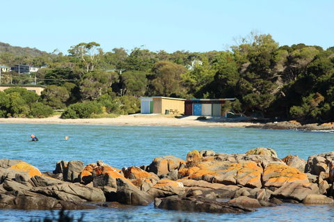 Tamar Solar Home - Dentist Find 25