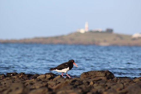 Tamar Solar Home - Dentist Find 3