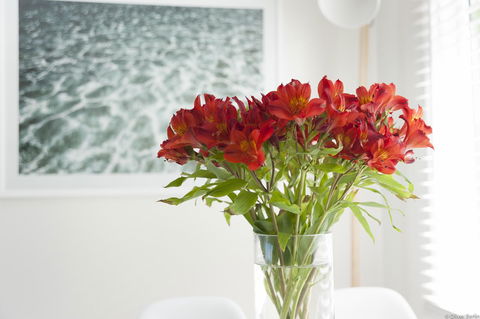 On The Beach Waterfront Apartment - Dentist Find 0