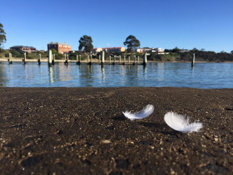 Swansea Holiday Park Tasmania - Dentist Search 39