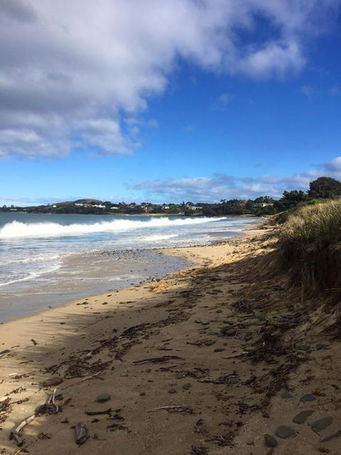 Swansea Holiday Park Tasmania - Dentist Search 15