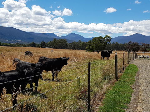 The Manager's Cottage - Dentist Find 6