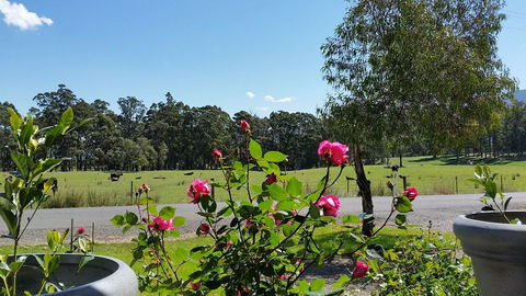 The Manager's Cottage - Dentist Find 17