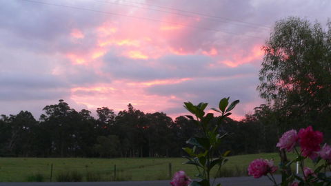 The Manager's Cottage - Dentist Find 9