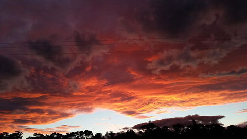 The Manager's Cottage - Dentist Find 12