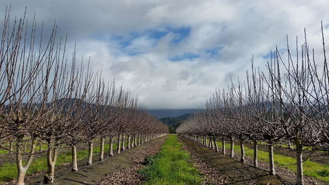 The Manager's Cottage - Dentist Find 18