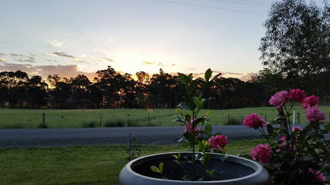 The Manager's Cottage - Dentist Find 13