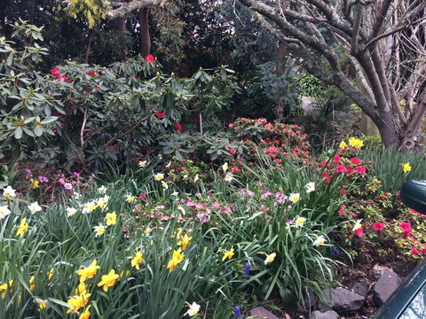 The Anchorage Waterfront Apartment - Dentist Find 19