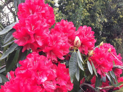 The Anchorage Waterfront Apartment - Dentist Find 29