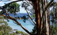 Seascape Beach House - thumb 8