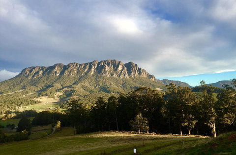 Manna Hill Farm - Dentist Search 4