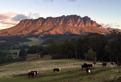 Manna Hill Farm - Dentist Search 10