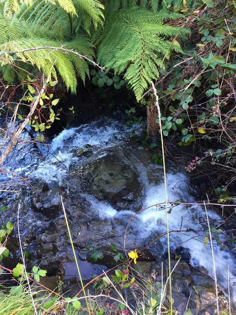 Manna Hill Farm - Dentist Search 26