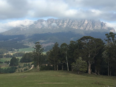 Manna Hill Farm - Dentist Search 31