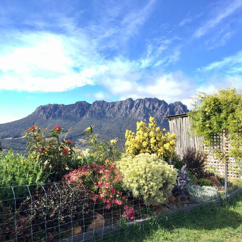 Manna Hill Farm - Dentist Search 1