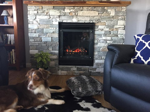 Manna Hill Farm - Dentist Search 12