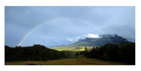 Manna Hill Farm - Dentist Search 8