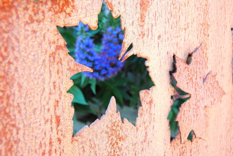 Little Talisker - Dentist Find 29