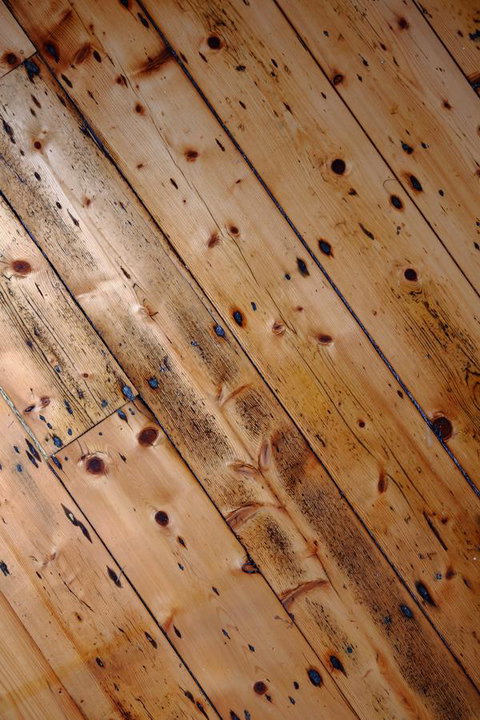 Little Talisker - Dentist Find 16