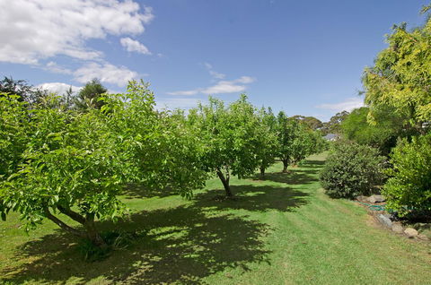 Orford's Sanda House B&B - Dentist Find 37