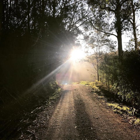 The Pear Cottage - Dentist Find 23