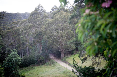 The Pear Cottage - Dentist Find 19