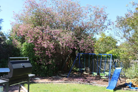 Sisters Beach Paradise - Dentist Find 9